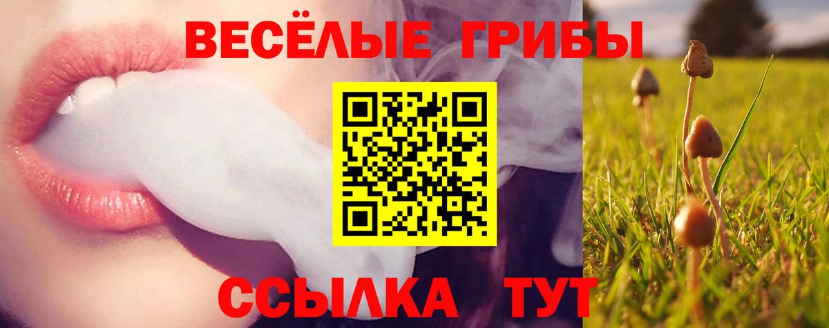 Гатчина  Галлюциногенные грибы GOLDEN TEACHER  Вход с VPN 