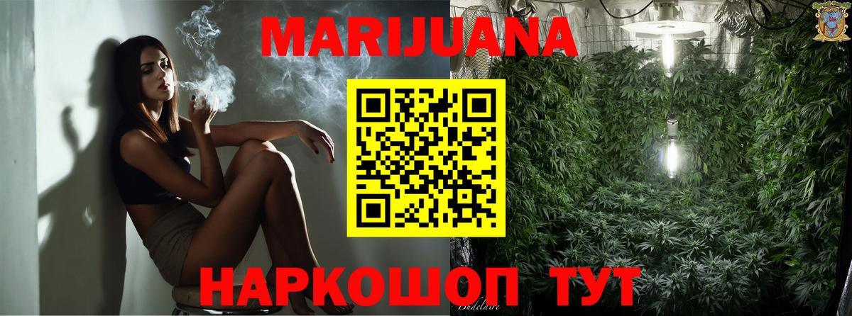 Канабис конопля Гатчина